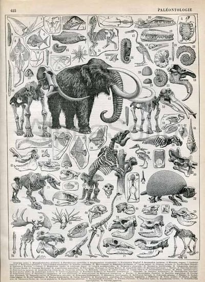 The dinosaurs in the tar pit, or why the software is so hard to produce